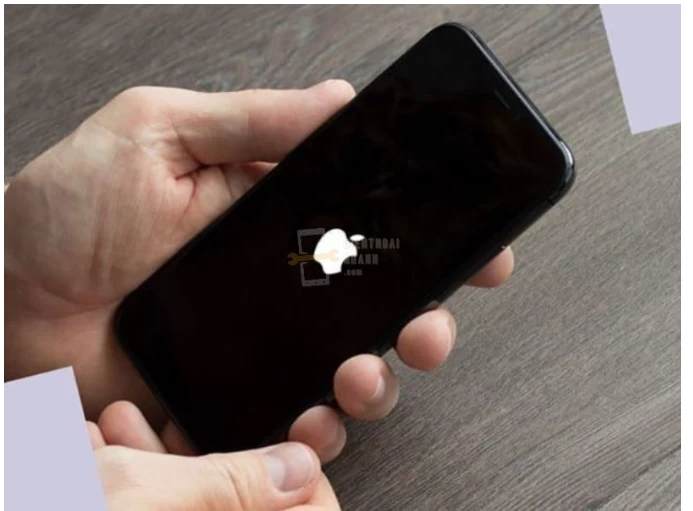 thay-pin-iphone-11-boc-may-giai-phap-tiet-kiem-va-hieu-qua