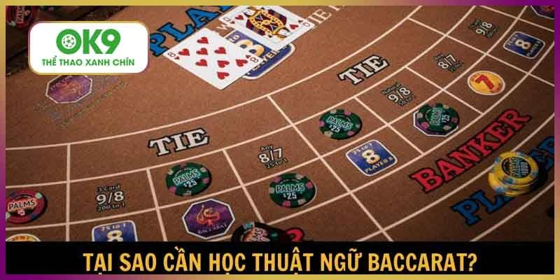 nam-tron-thuat-ngu-baccarat-chia-khoa-chinh-phuc-moi-van-bai