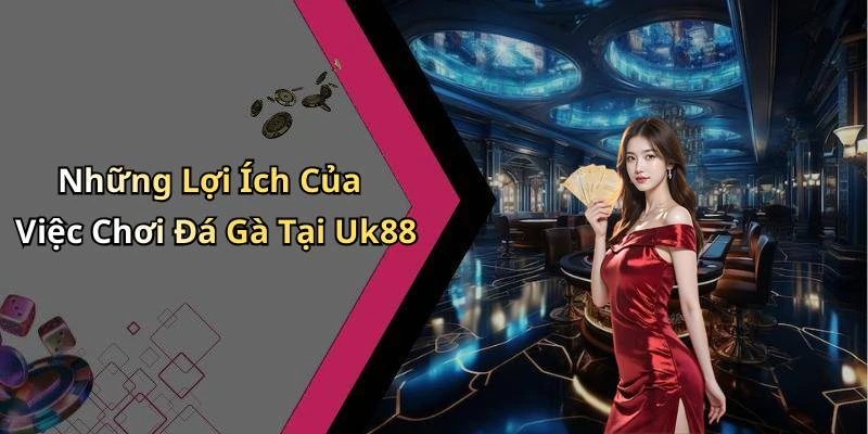 Những Lợi Ích Của Việc Chơi Đá Gà Tại Uk88