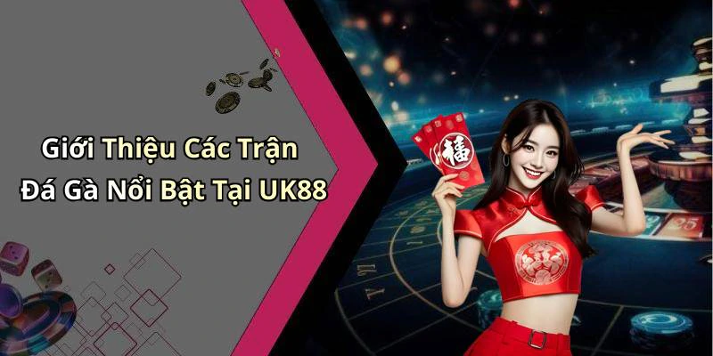 Giới Thiệu Các Trận Đá Gà Nổi Bật Tại UK88