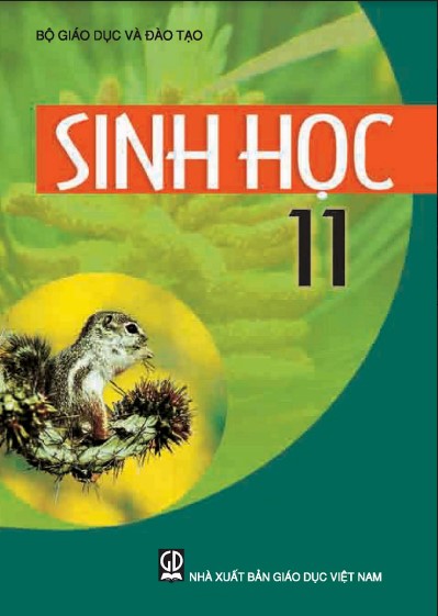 sinh-hoc-11-lop-11-nha-xuat-ban-giao-duc