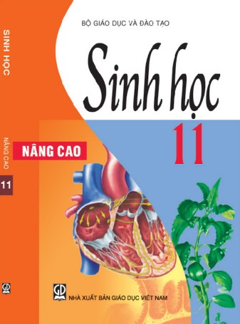sinh-hoc-nang-cao-11-lop-11-nha-xuat-ban-giao-duc